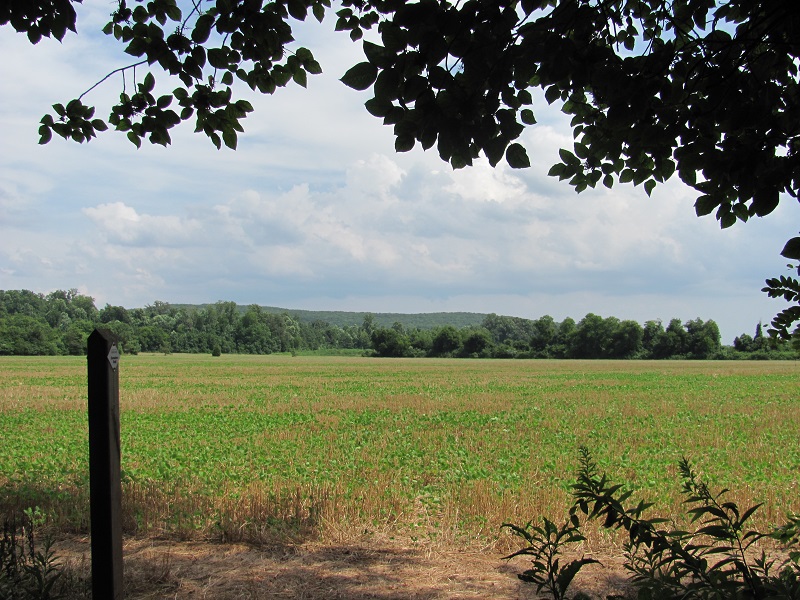 Harvest Square Recreational Preserve Photos